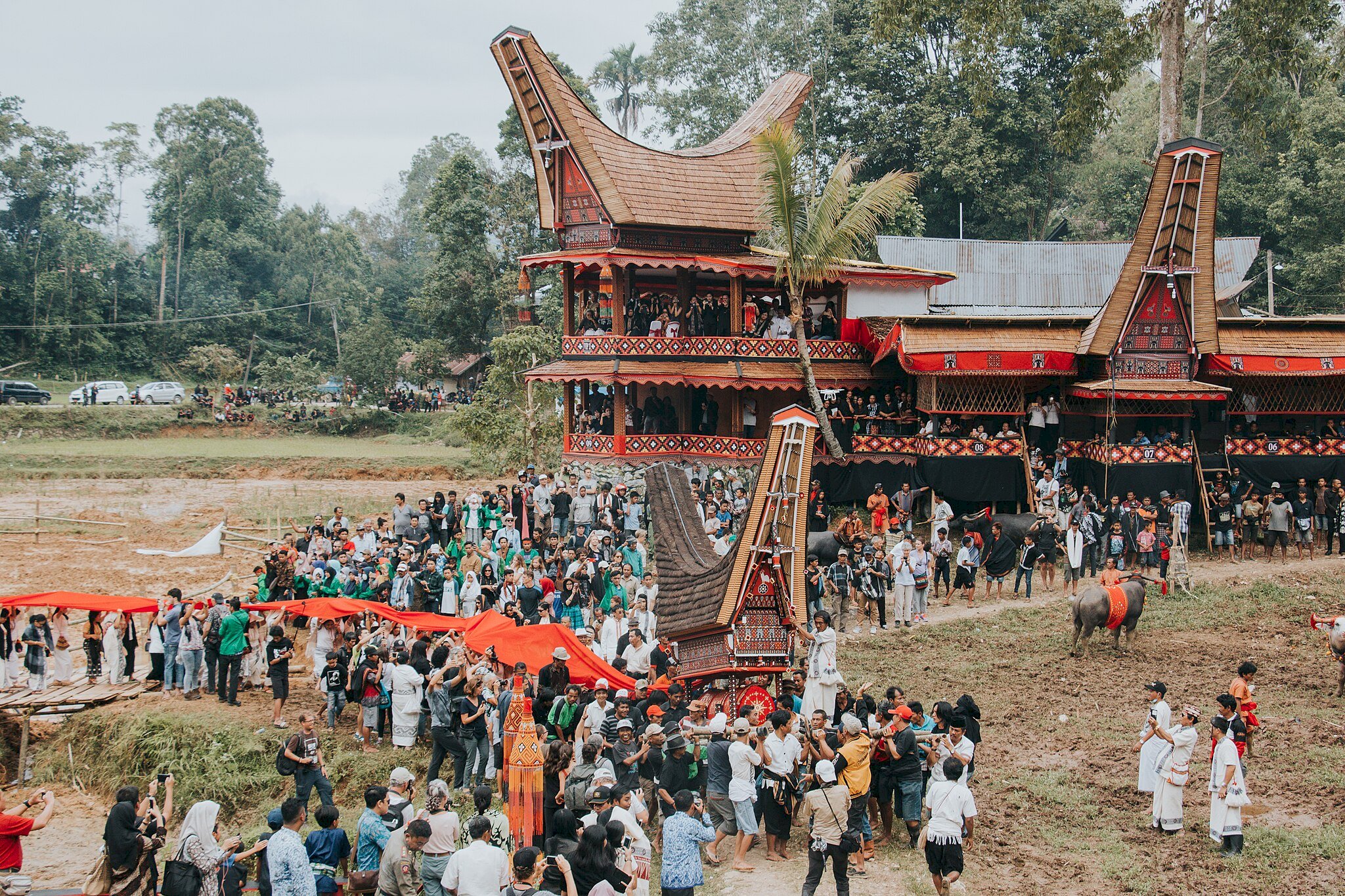 Mengenal Rambu Solo Upacara Adat Suku Toraja Melalui Cerpen di Tubuh Tarra Dalam Rahim Pohon Karya Faisal Oddang
